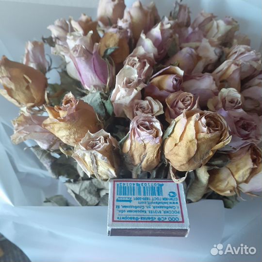 Сухие цветы для творчества