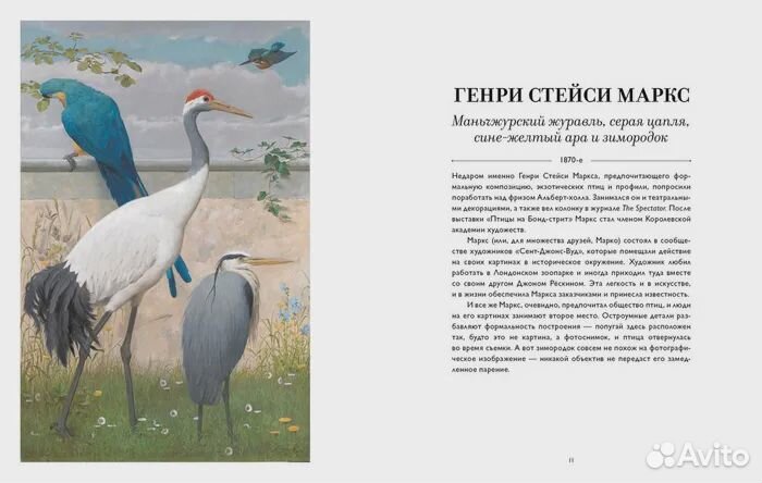 Такие разные птицы в произведениях искусства Уилсо