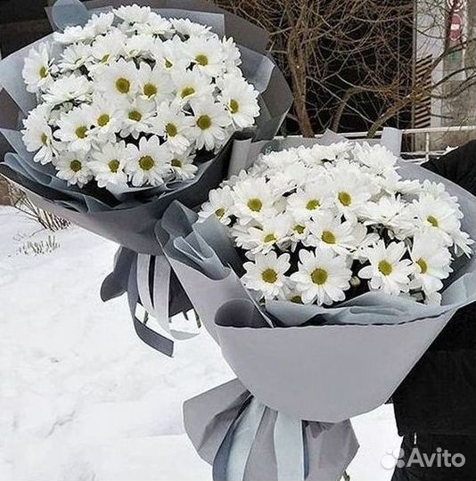 Доставка букетов и цветов. Хризантема