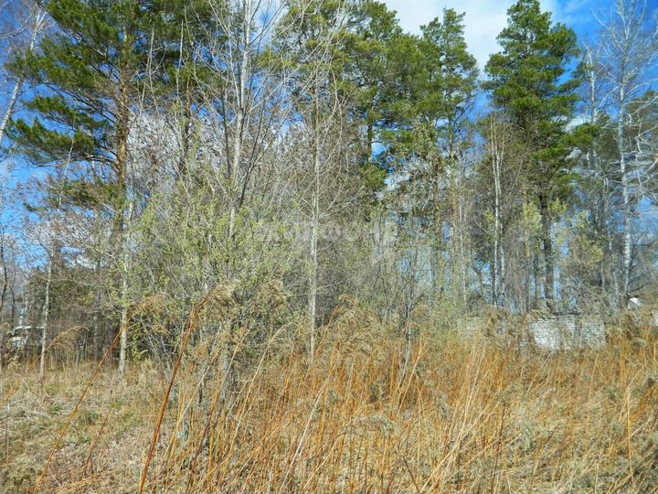 Участок 7,8 сот. (СНТ, ДНП)