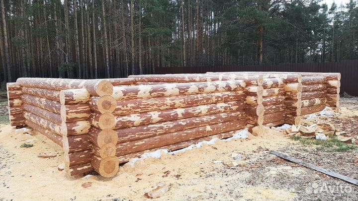 Сруб дома и бани из зимней сосны