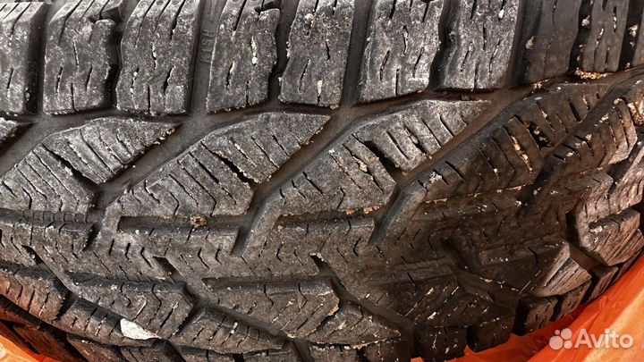 Tigar SUV Winter 215/70 R16