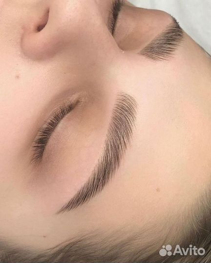 Мастер бровист