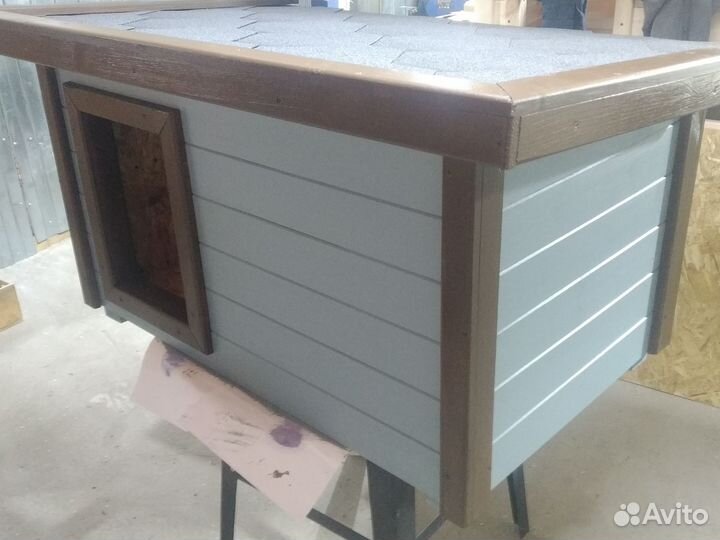 Собачья будка