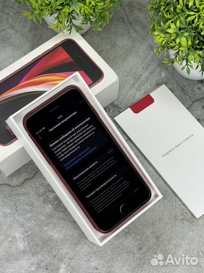 iPhone SE (2020), 64 ГБ