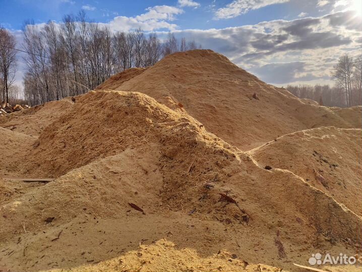 Опилки Бесплатно