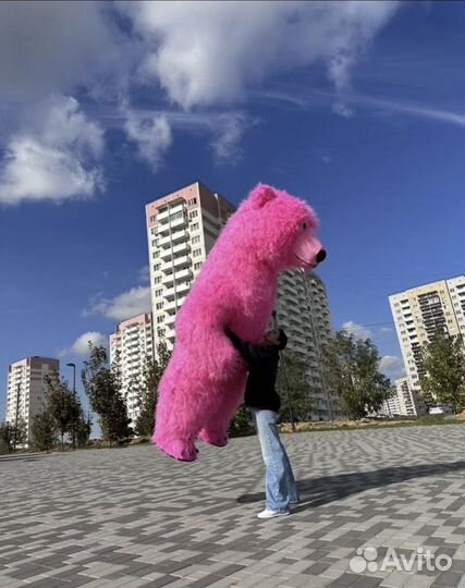 Ростовой белый медведь розовый поздравление