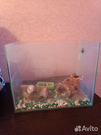 Аквариум