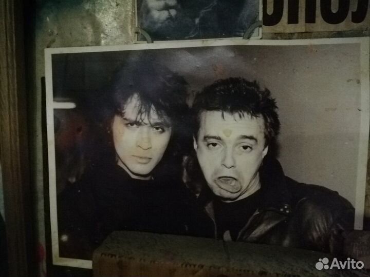 Автографы группа алиса