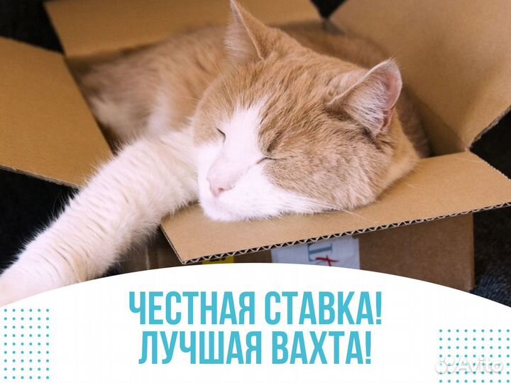 Вахта с проживанием и питанием