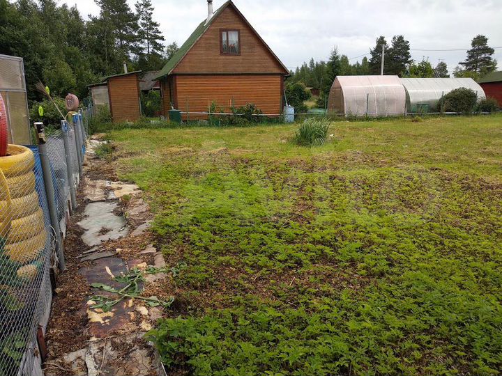 Участок 6 сот. (СНТ, ДНП)