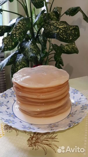 Чайный гриб