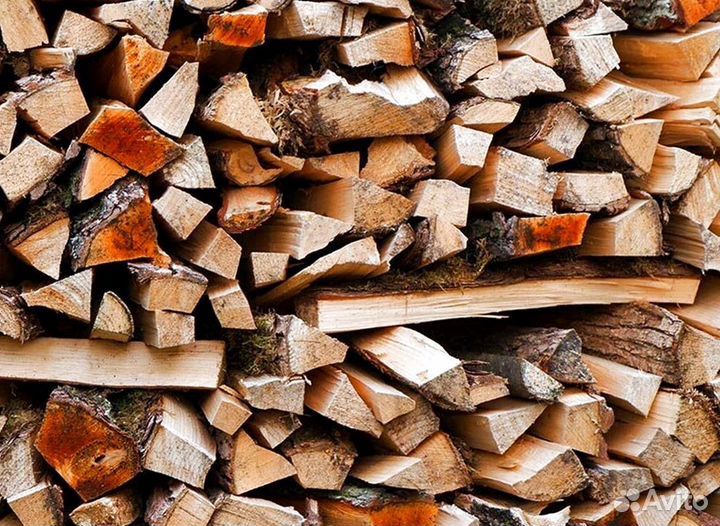 Дрова оптом