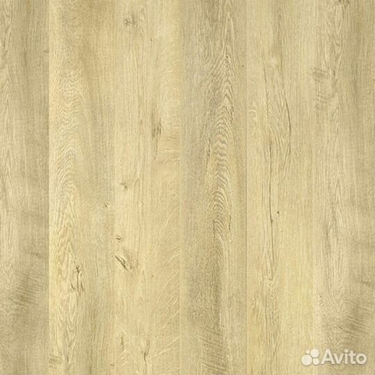 Fiesta 832 Дуб Осорно 32 класс
