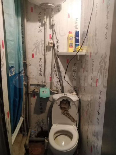 Комната 12,2 м² в 1-к., 4/5 эт.