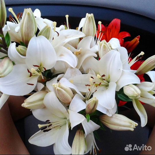 Букеты из лилий