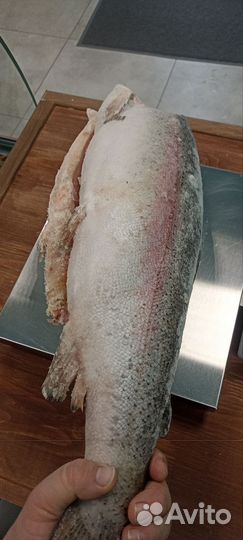 Форель морская (Турция) Стейки форели