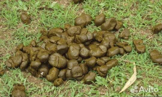 Перегной, навоз в мешках