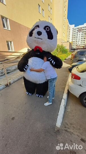 Аниматор, Мишка, Панда, Поздравление