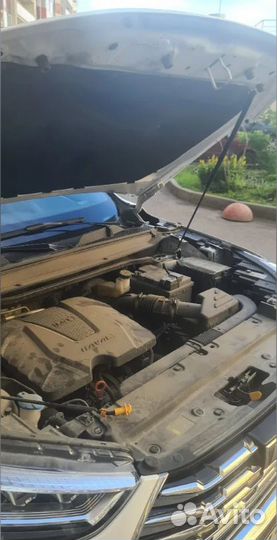 Газовые упоры капота для Haval Jolion