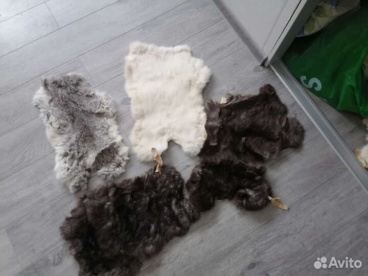 Шкура кролика