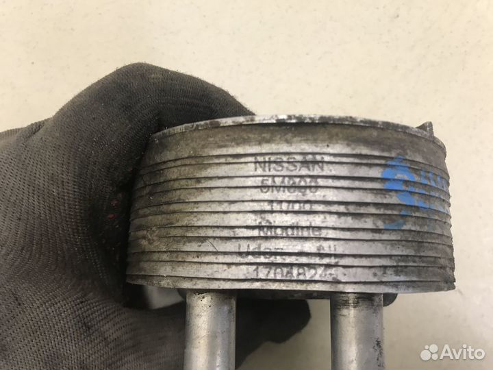 Радиатор масляный Almera Tino 2000-2006