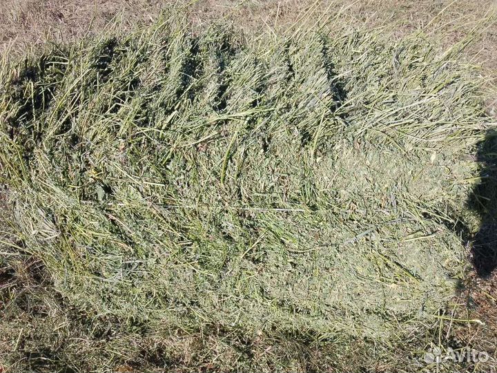 Сено в тюках