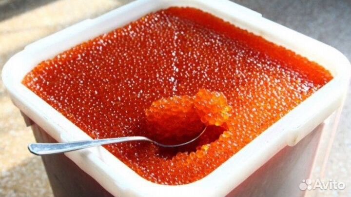 Красная Икра