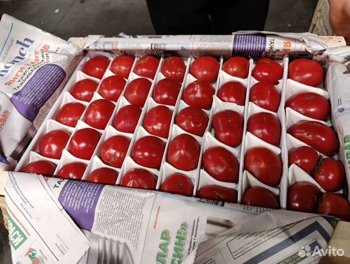 Помидоры свежие