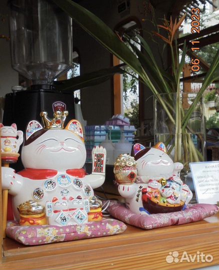 Компактные камеры Lumix, Sony, Nikon, Canon