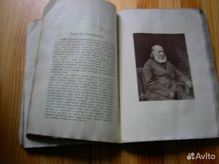 Юлий Айхенвальд Силуэты русских писателей 1911 год