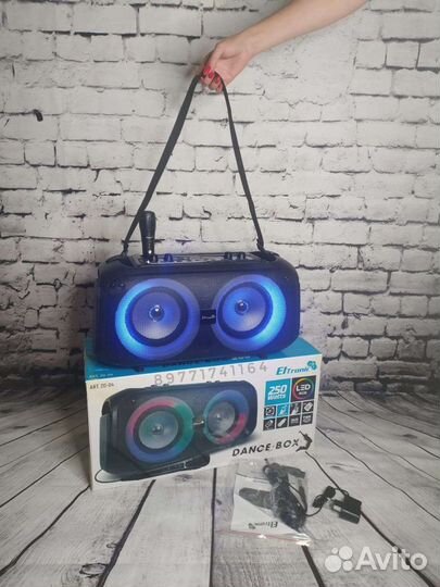 Колонка Eltronic 20-04