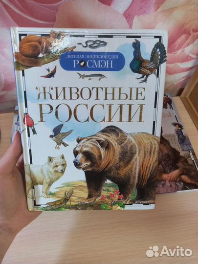 Детская энциклопедия росмэн (книги детские)