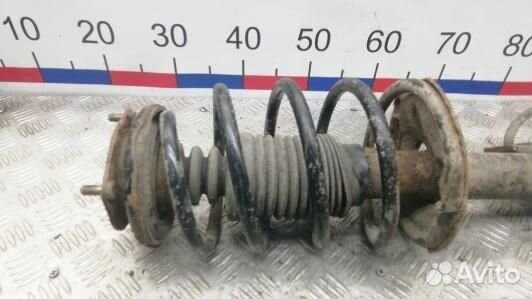 Стойка передняя правая nissan almera N16 (EDN15N50