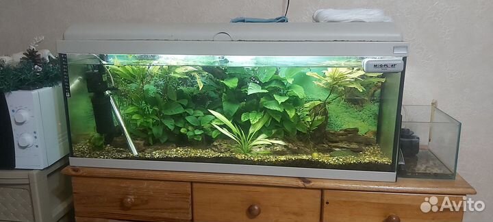 Украшение для аквариума