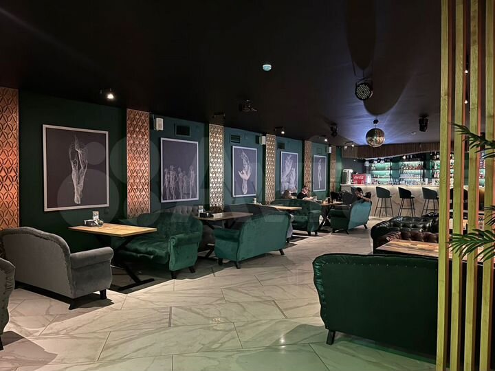 Помещение под общепит на Пушкина, 457м