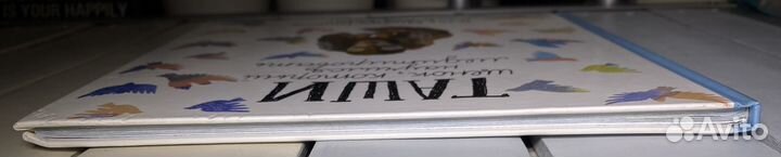 Таши щенок, который научился медитировать