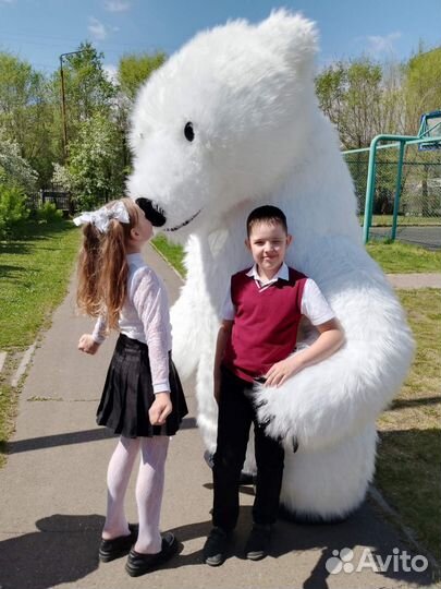 Поздравление большого белого Медведя