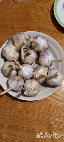 Чеснок,кабачки, тыква