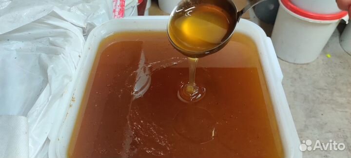 Цветочный мед оптом