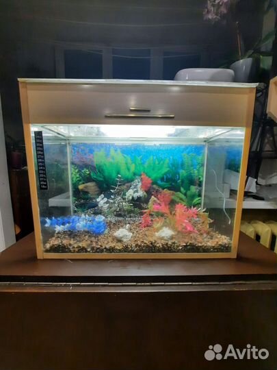 Аквариум