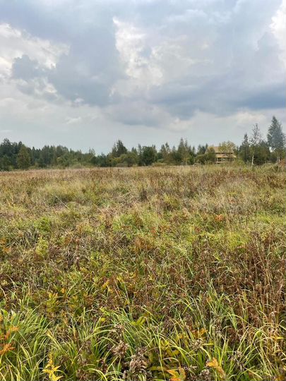 Участок 7 сот. (СНТ, ДНП)