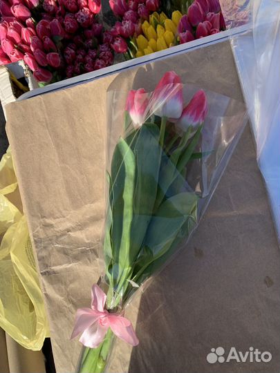 Тюльпаны к 8 марта