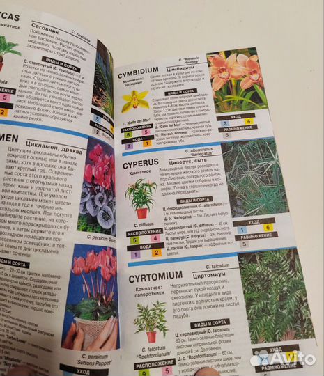 Книга о комнатных цветах