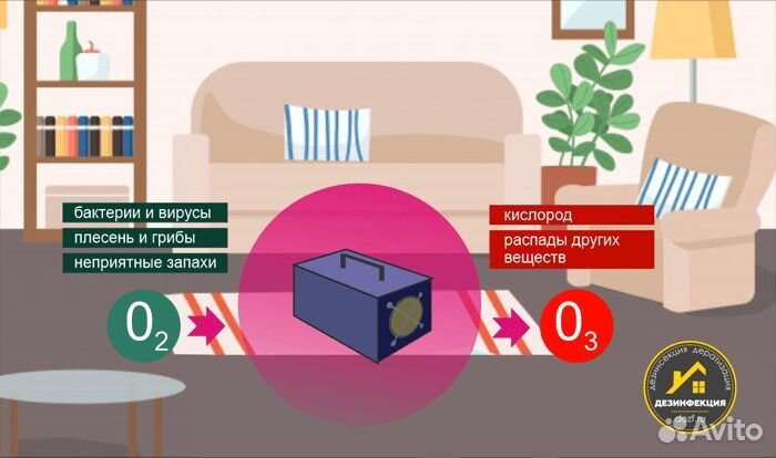 Удаление запахов / сухой туман / озонация