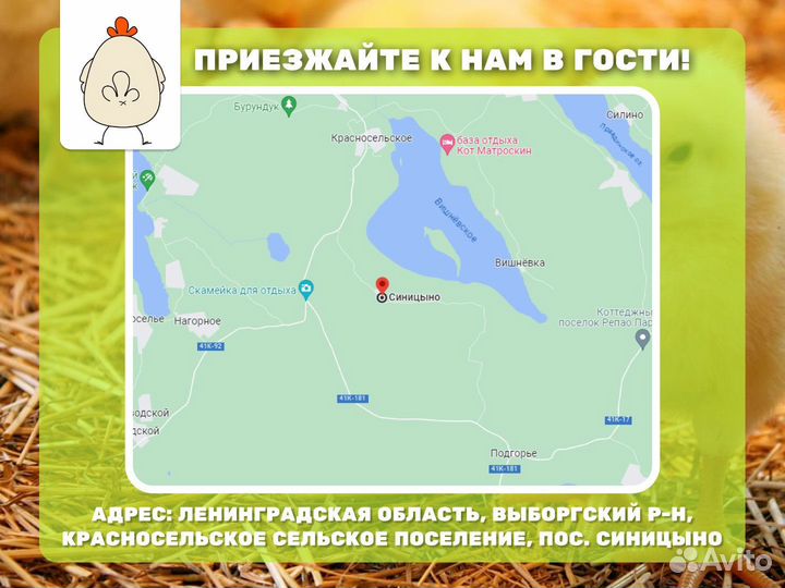 Комбикорм Мегакорм для бройлеров