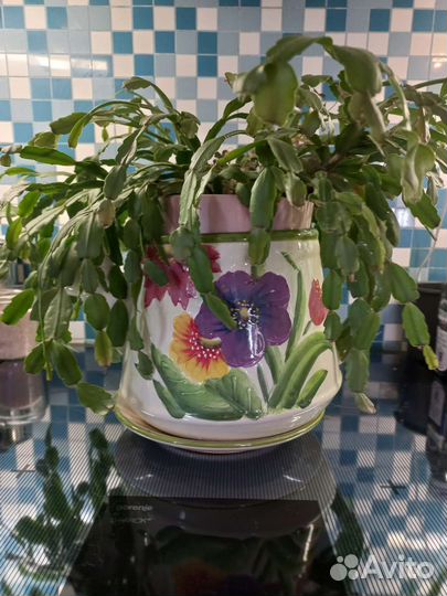 Кашпо для цветов