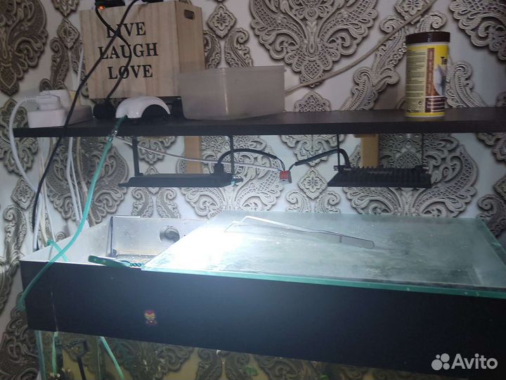 Аквариум и все содержимое