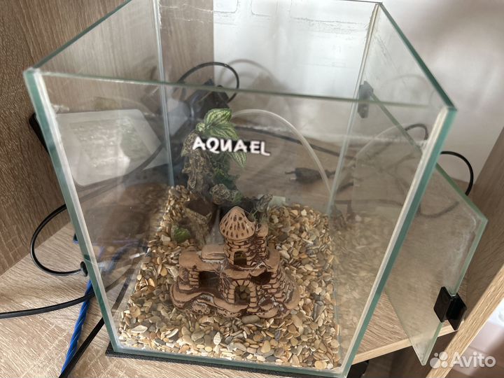 Аквариум