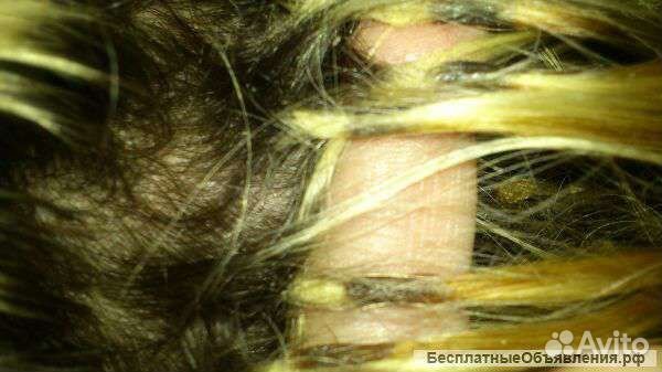 Распутывание колтунов. Снятие нарощенных волос